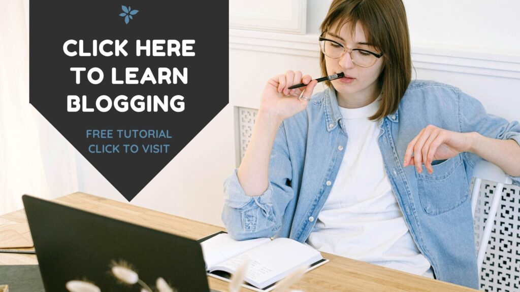 blogging guide for beginners, How to make blogging your profession 