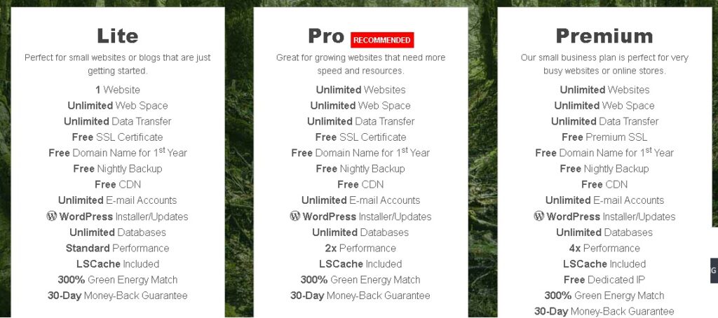 GreenGeeks is 5th and one of the best GoDaddy alternative in Reseller Hosting Category