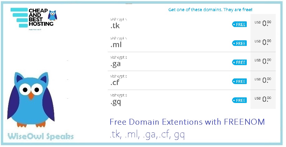 how to get free domain by Freenom.