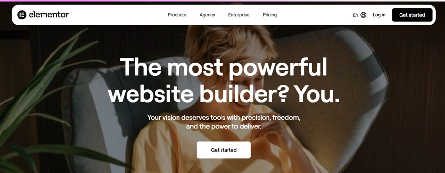 elementor review 