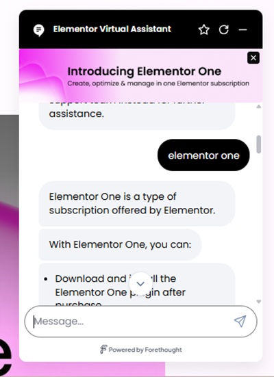 elementor customer support 