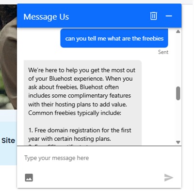 bluehost customer support 