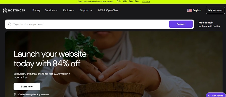 hostinger web hosting 