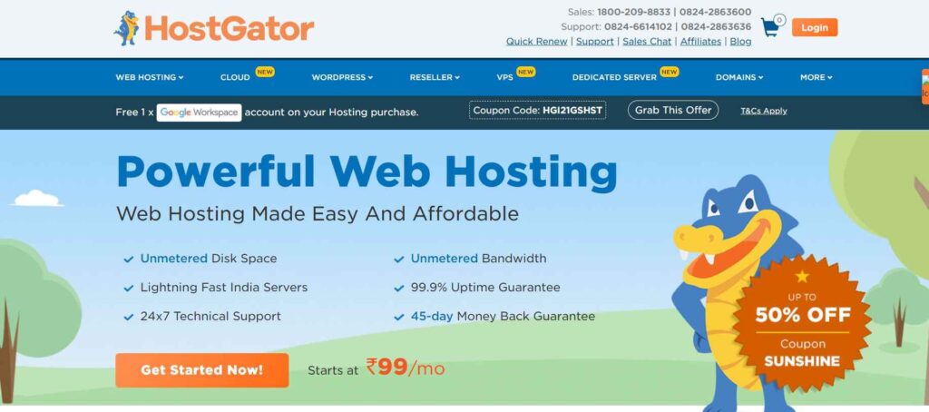 Powerful web hosting with free domain