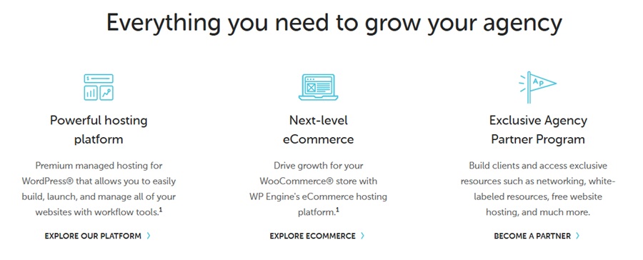flywheel web hosting features
