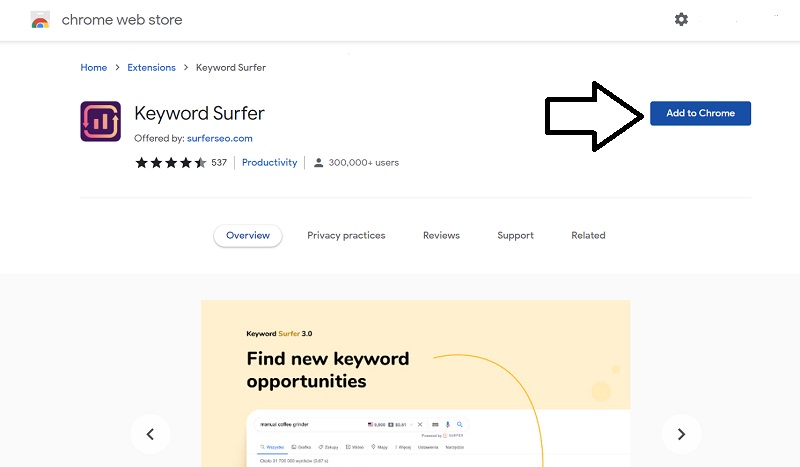Chrome Extension Of keyword Surfer