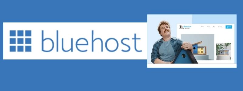 bluehost windows vps provider
