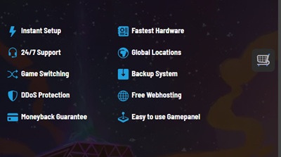 pingperfect hosting server features
